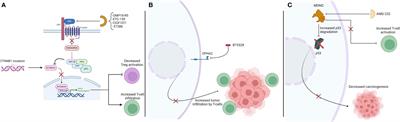 The role of immunotherapy sensitizers and novel immunotherapy modalities in the treatment of cancer